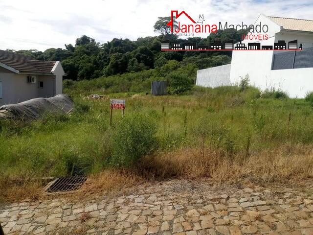 Área para Venda em Carazinho - 4