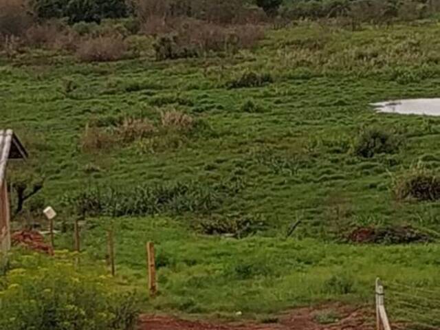 Área para Venda em Carazinho - 4