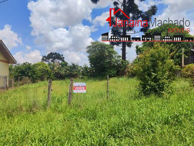 Terreno para Venda em Carazinho - 4